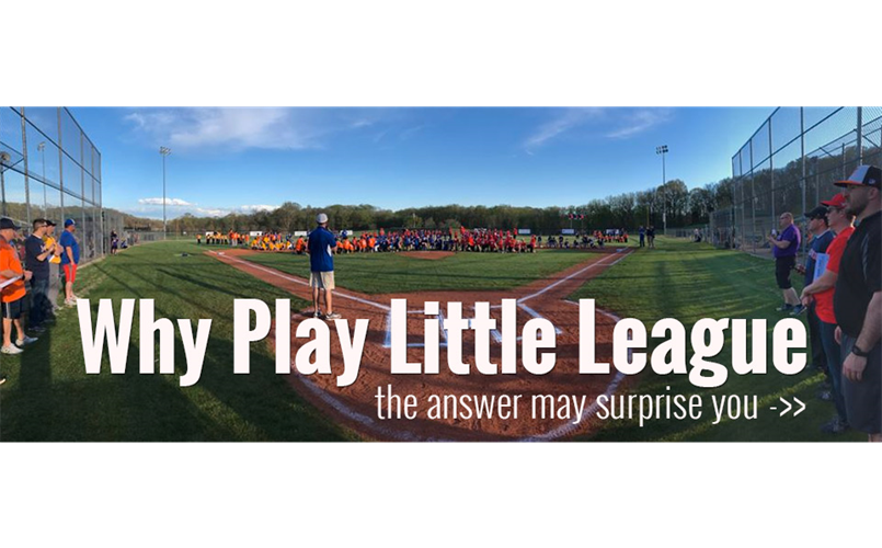 Why Play Little League